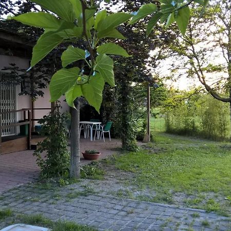 Rose Canine B&B Cesenatico Extérieur photo
