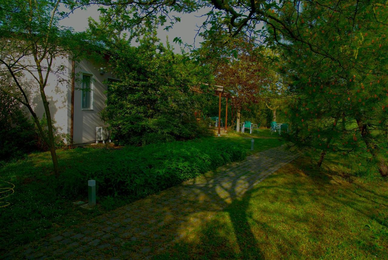 Rose Canine B&B Cesenatico Extérieur photo