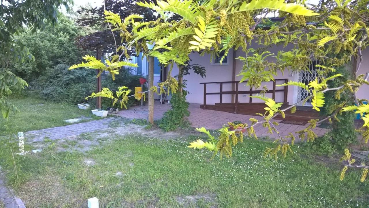 Rose Canine B&B Cesenatico Extérieur photo
